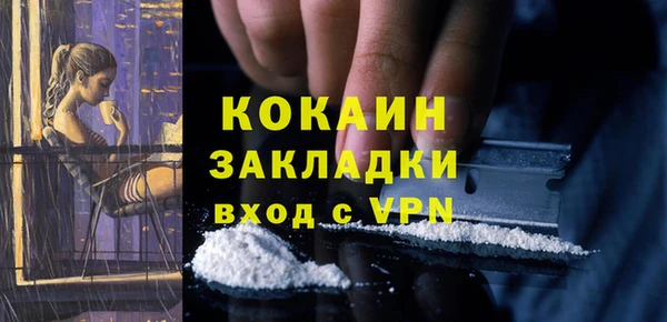 сатива Армянск