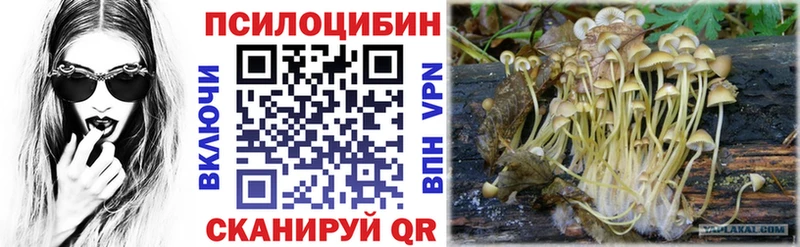 МЕГА как войти  Боровичи  Псилоцибиновые грибы прущие грибы 